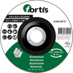 Fortis 4317784704939 accessoire pour meuleuse d'angle