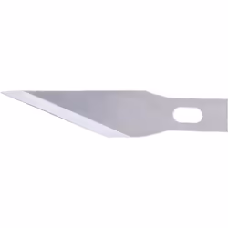 Fortis 4317784727389, 10 pièce(s)