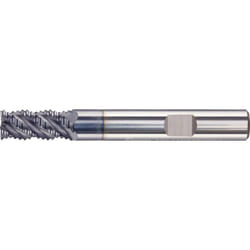 Fortis 4317784741965 Fraiseuse