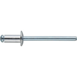 Fortis 4317784775069 rivet