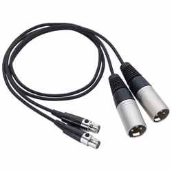 Zoom TXF-8, Femelle, XLR, Mâle, Noir