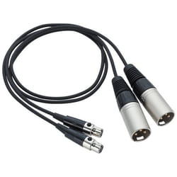 Zoom TXF-8 câble audio XLR Noir