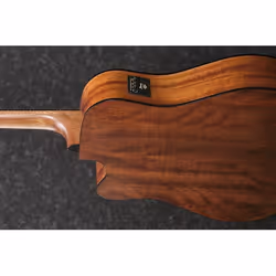 Ibanez AW54CE guitare Guitare acoustique Dreadnought 6 cordes Noir, Bois