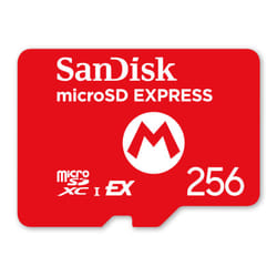 Nintendo 10016157 mémoire flash 256 Go MicroSDXC