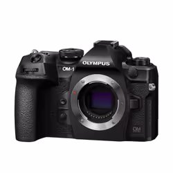 Olympus OM-D OM-1 + M.Zuiko 12-40mm f/2.8 PRO II 4/3" MILC 20,4 MP MOS 10368 x 7776 pixels Noir - Vue supplémentaire 6