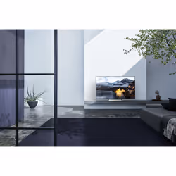 Sony KD65XE9005 65" 4K Ultra HD Smart TV Wifi Noir, Argent