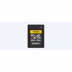 Sony CEA-G80T