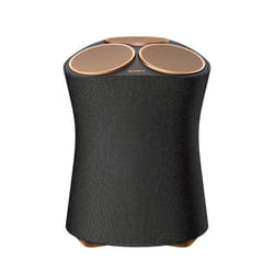 Sony SRS-RA5000 Enceinte portable stéréo Noir, Or 55 W
