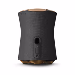 Sony SRS-RA5000 Enceinte portable stéréo Noir, Or 55 W