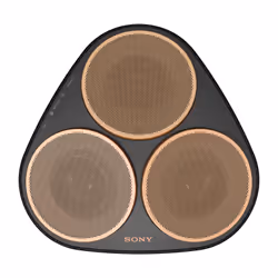 Sony SRS-RA5000 Enceinte portable stéréo Noir, Or 55 W