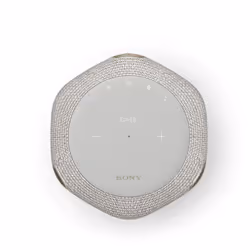 Sony SRS-RA3000 Enceinte portable stéréo Gris