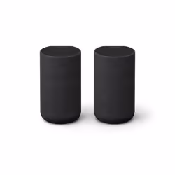 Sony SA-RS5 haut-parleur 2-voies Noir Avec fil &sans fil 180 W