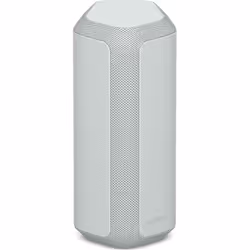 Sony SRS-XE300, 20 - 20000 Hz, Sans fil, A2DP, AVRCP, HFP, HSP, SPP, 30 m, USB Type-C, Enceinte portable stéréo