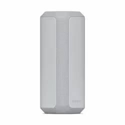 Sony SRS-XE300 Enceinte portable stéréo Gris
