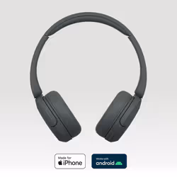 Sony WH-CH520 Noir