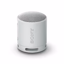 Sony SRS-XB100, Sans fil, A2DP, HFP, AAC, AVRCP, SBC, USB Type-C, Enceinte portable mono, Gris, Cylindre