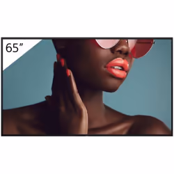Sony FW-65BZ40L, Écran plat de signalisation numérique, 165,1 cm (65"), LCD, 3840 x 2160 pixels, Wifi, 24/7