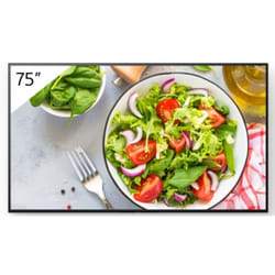 Sony FW-75BZ35L affichage de messages Écran plat de signalisation numérique 75" LCD Wifi 550 cd/m² 4K Ultra HD Noir Android 24/7