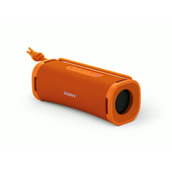 Sony SRSULT10D haut-parleur portable et de fête Enceinte portable mono Noir 30 W