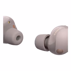 Sony WF-1000XM5 Rose