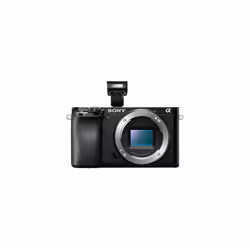 Sony α 6100 MILC 24,2 MP CMOS 6000 x 40000 pixels Noir - Vue supplémentaire 5