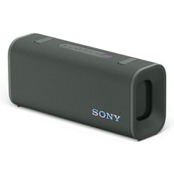 Sony SRSULT30H Enceinte portable stéréo Gris