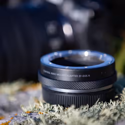 Canon Bague d'adaptation monture avec bague de réglage EF-EOS R