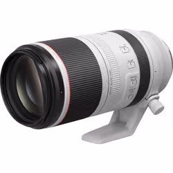 Canon Objectif RF 100-500mm F4.5-7.1L IS USM - Vue supplémentaire 4