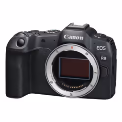 Canon EOS R8 MILC 24,2 MP CMOS 6000 x 4000 pixels Noir
