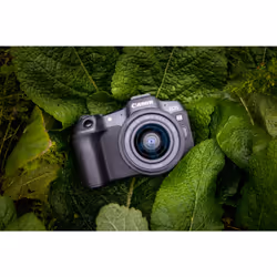 Canon EOS R8 + RF 24-50mm F4.5-6.3 IS STM Kit MILC 24,2 MP CMOS 6000 x 4000 pixels Noir - Vue supplémentaire 10