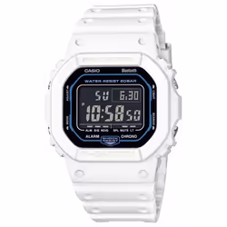 MONTRE CASIO DW-B5600SF-7ER