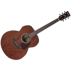 Ibanez AJ54E-OPN - Guitare électro-acoustique - Natural open pore