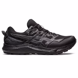ASICS 1011B593.002_10, Mâle, Adulte, Noir, Gris, Caoutchouc, Gore-Tex, 1 pièce(s)