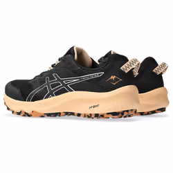 Chaussures de trail femme Asics Trabuco Terra 2