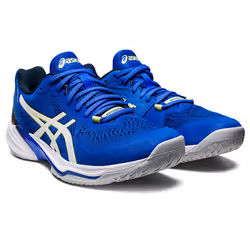 ASICS 1051A064.404_6.5 chaussure de sports d’équipe Volley-ball Mâle 6.5 Bleu, Blanc