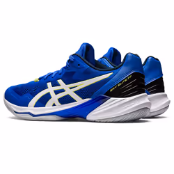 ASICS 1051A064.404_6.5 chaussure de sports d’équipe Volley-ball Mâle 6.5 Bleu, Blanc