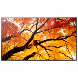 Sharp MultiSync M552 Écran plat de signalisation numérique 139,7 cm (55") LCD 550 cd/m² 4K Ultra HD Noir Écran tactile - Vue supplémentaire 2