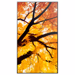 Sharp MultiSync M552 Écran plat de signalisation numérique 139,7 cm (55") LCD 550 cd/m² 4K Ultra HD Noir Écran tactile - Vue supplémentaire 3