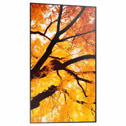 Sharp MultiSync M552 Écran plat de signalisation numérique 139,7 cm (55") LCD 550 cd/m² 4K Ultra HD Noir Écran tactile - Vue supplémentaire 4
