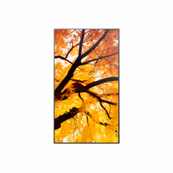 Sharp MultiSync M432 Écran plat de signalisation numérique 108 cm (42.5") LCD 550 cd/m² 4K Ultra HD Noir - Vue supplémentaire 2