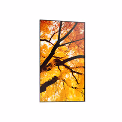 Sharp MultiSync M432 Écran plat de signalisation numérique 108 cm (42.5") LCD 550 cd/m² 4K Ultra HD Noir - Vue supplémentaire 3