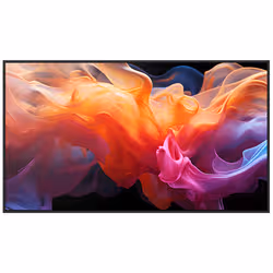 Sharp MultiSync PNE659 Écran de signalisation 65 pouces 4K UHD IPS 350 cd/m² Noir - Vue supplémentaire 2