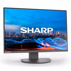 Sharp MultiSync EA241W écran plat de PC 61 cm (24") 1920 x 1200 pixels Full HD LCD Noir - Vue supplémentaire 2