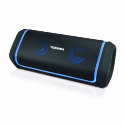 Toshiba TY-WSP150, 10 W, Avec fil &amp;sans fil, USB Type-C, Enceinte portable stéréo, Noir, Universel