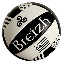 Ballon Molten V5B1300