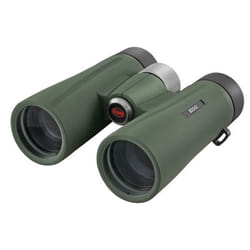 Kowa BDII42-8XD jumelle Vert