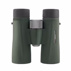 Kowa BDII42-8XD jumelle Vert