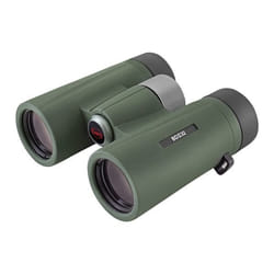 Kowa BDII32-8XD jumelle Vert