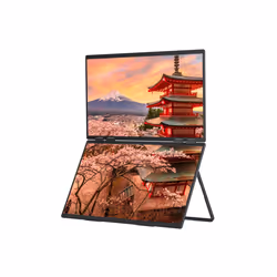 JAPANNEXT JN-DMD-IPS238F-C4 écran plat de PC 23.8" Full HD LCD Noir - Vue supplémentaire 2