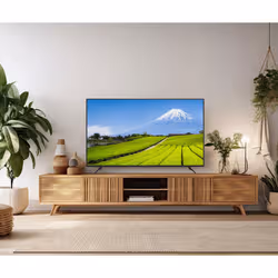 JAPANNEXT JN-IPS550UHD60F écran plat de PC 139,7 cm (55") 3840 x 2160 pixels 4K Ultra HD LCD Noir - Vue supplémentaire 4